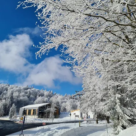 Готель Hotel Winterberg Resort 3*