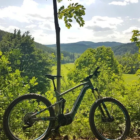 Hotel Winterberg Resort Готель
