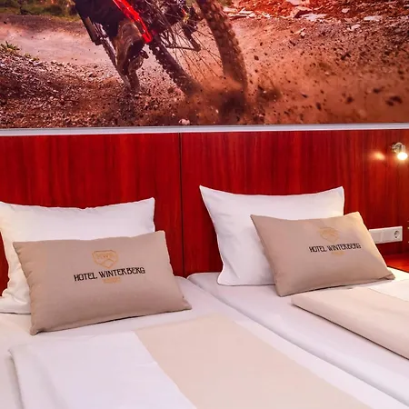 Готель Hotel Winterberg Resort