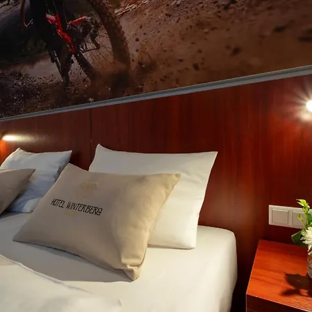 Hotel Winterberg Resort Готель 3*