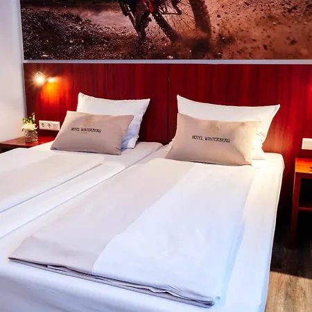 Hotel Winterberg Resort 3* Вінтерберг
