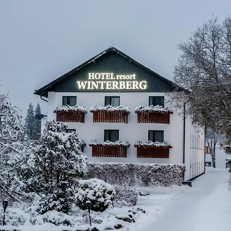 Hotel Winterberg Resort 3* Вінтерберг