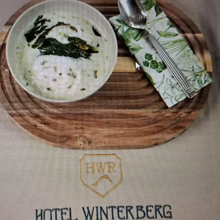 Hotel Winterberg Resort Готель Вінтерберг