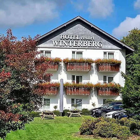 فندق Hotel Winterberg Resort 3*