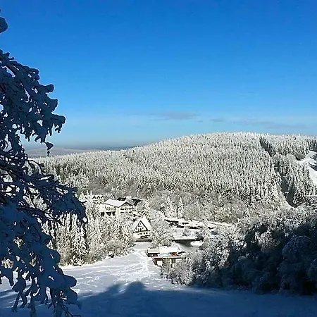 فندق Hotel Winterberg Resort 3*