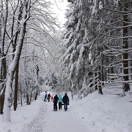 Hotel Winterberg Resort 3* Вінтерберг