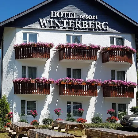 Hotel Winterberg Resort Вінтерберг