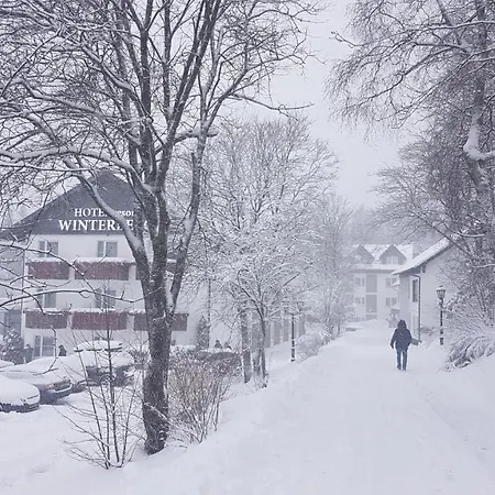 Hotel Winterberg Resort Готель 3*