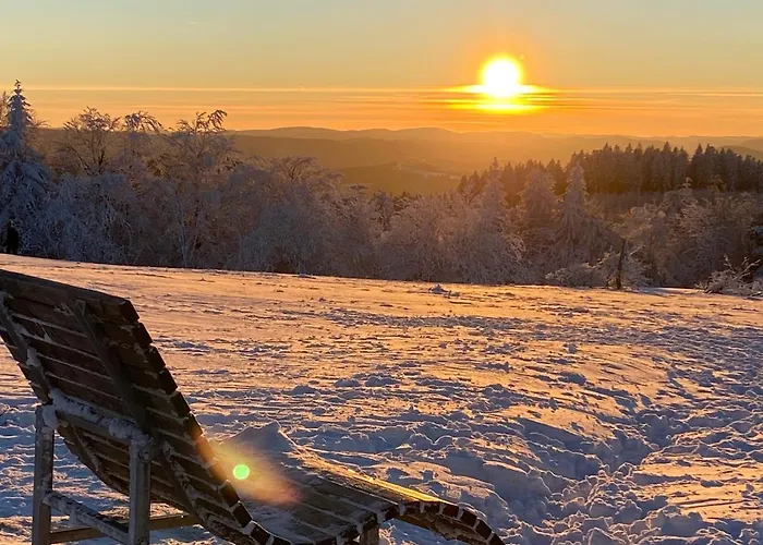 温特贝格度假村酒店 3*