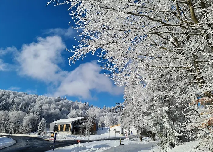 酒店 温特贝格度假村酒店 3*