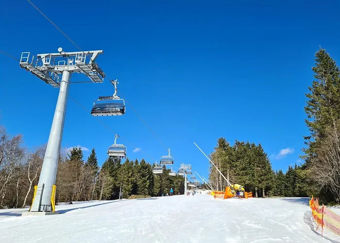 ホテル ホテル ヴィンターベルク リゾート 3*