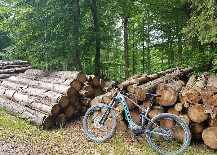 ホテル ヴィンターベルク リゾート ヴィンターベルク