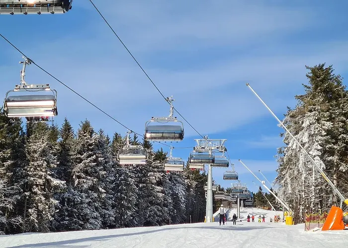 ホテル ヴィンターベルク リゾート 3*