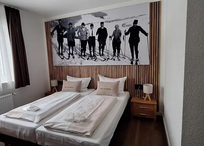 Otel Hotel Winterberg Resort Winterberg