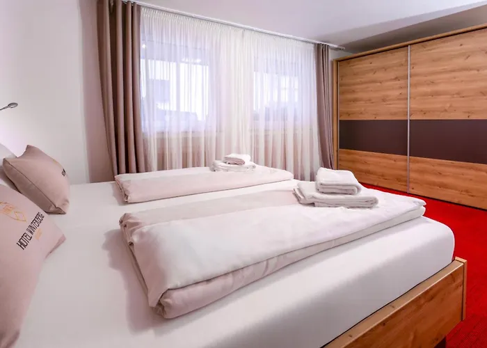 ホテル ホテル ヴィンターベルク リゾート 3*