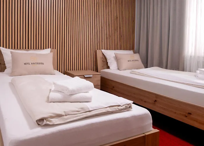 ホテル ヴィンターベルク リゾート ホテル