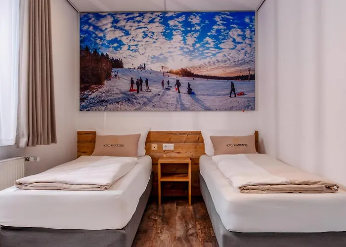 ホテル ヴィンターベルク リゾート 3*