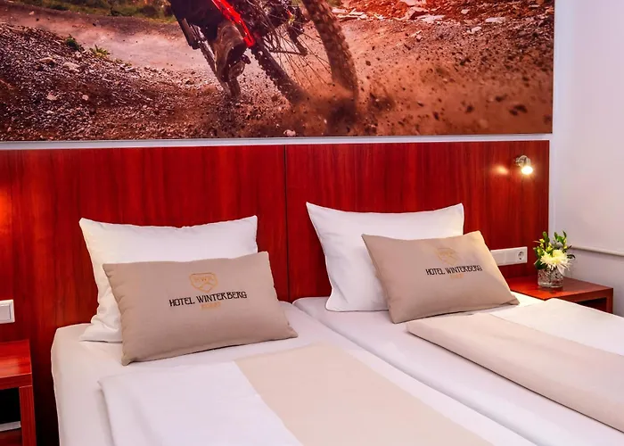 酒店 温特贝格度假村酒店