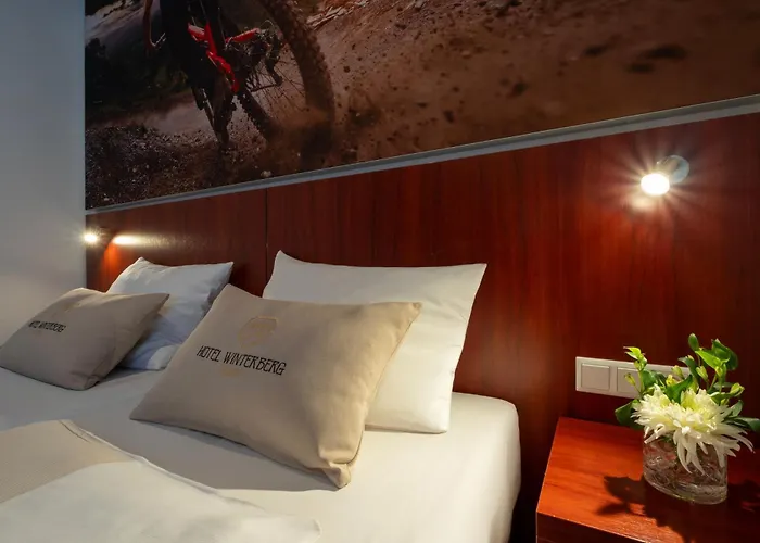 ホテル ヴィンターベルク リゾート ホテル 3*