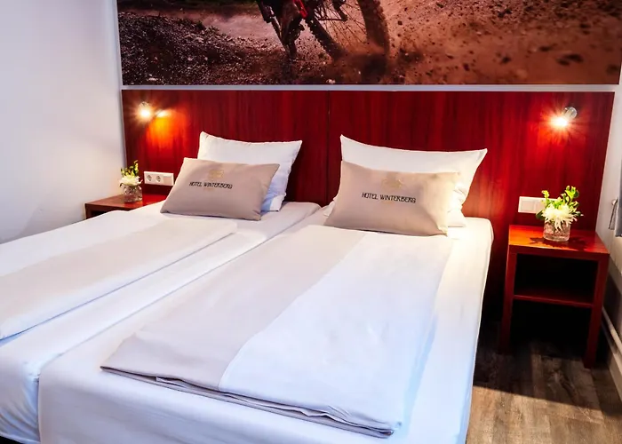 温特贝格度假村酒店 3* 温特贝格