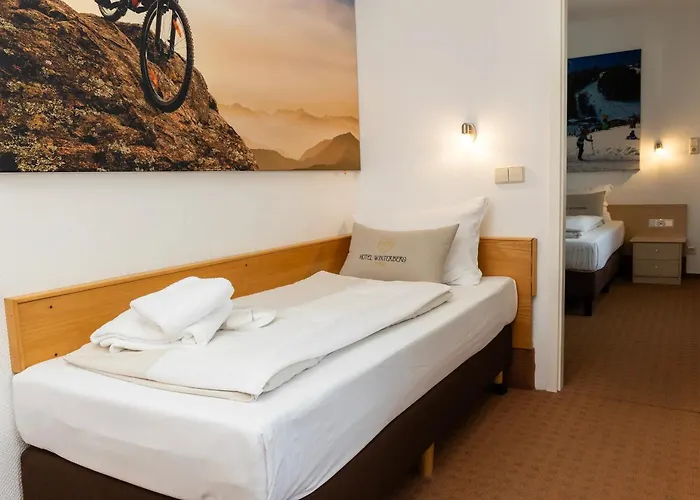 Otel Hotel Winterberg Resort