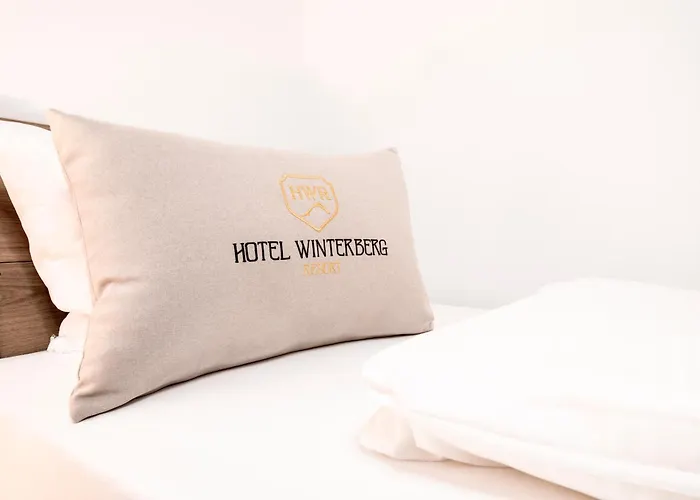 ホテル ヴィンターベルク リゾート 3* ヴィンターベルク