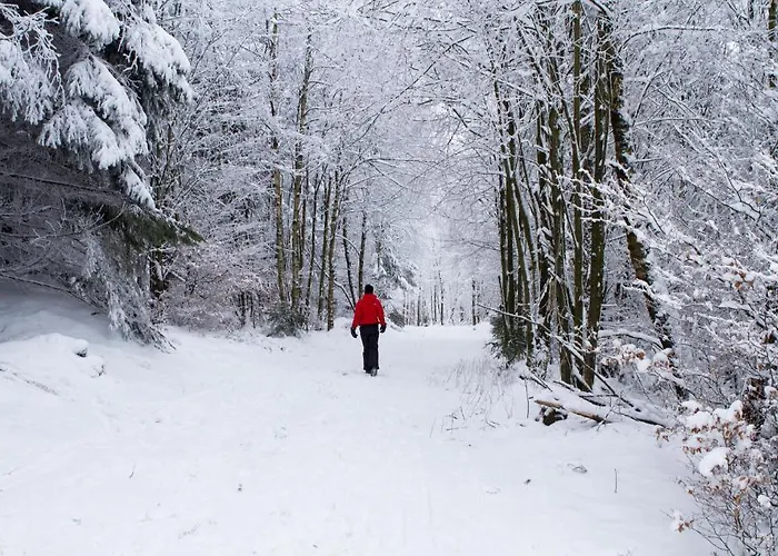 ホテル ホテル ヴィンターベルク リゾート 3*