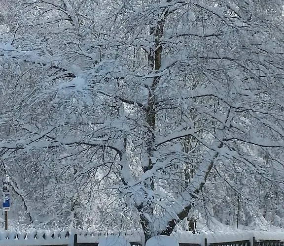温特贝格度假村酒店 酒店 3*