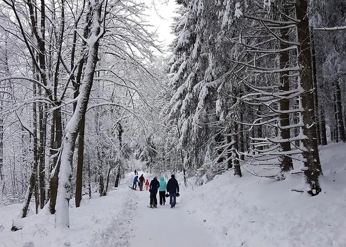温特贝格度假村酒店 3* 温特贝格
