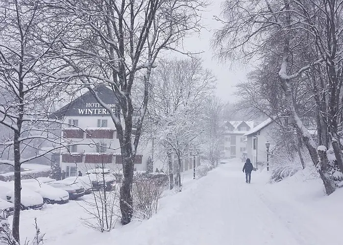 Hotel Winterberg Resort Otel 3*