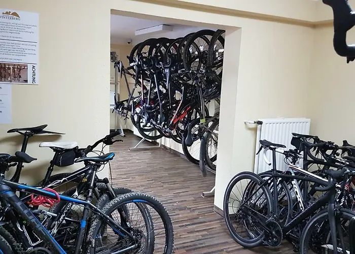 Otel Hotel Winterberg Resort 3*