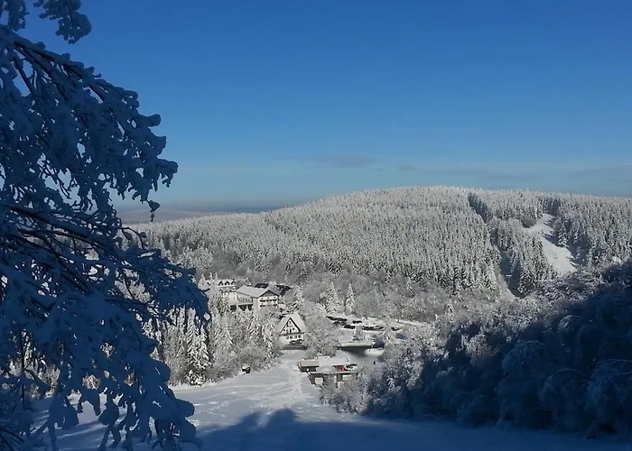 Otel Hotel Winterberg Resort 3*